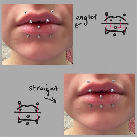 gooch piercings|New guiche piercing! Details in comments. : r/piercing